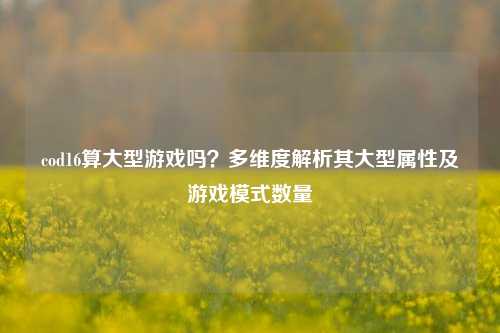 cod16算大型游戏吗?多维度解析其大型属性及游戏模式数量