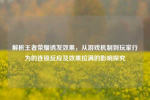解析王者荣耀诱发效果,从游戏机制到玩家行为的连锁反应及效果拉满的影响探究