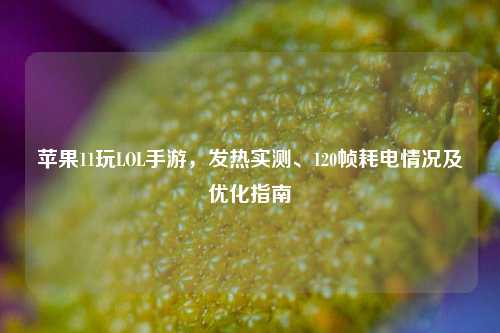 苹果11玩LOL手游,发热实测、120帧耗电情况及优化指南