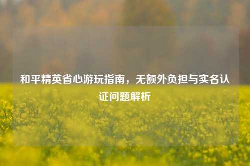和平精英省心游玩指南,无额外负担与实名认证问题解析