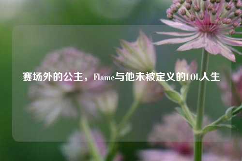 赛场外的公主,Flame与他未被定义的LOL人生