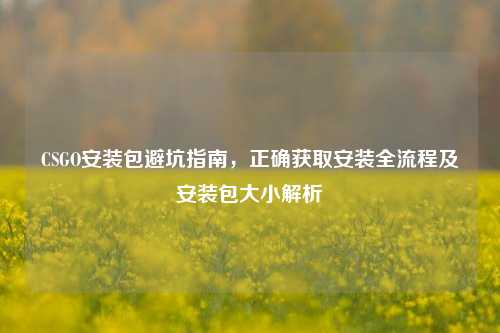 CSGO安装包避坑指南,正确获取安装全流程及安装包大小解析