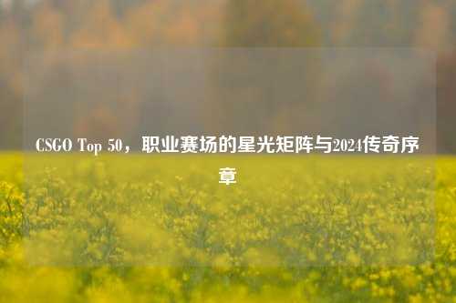 CSGO Top 50，职业赛场的星光矩阵与2024传奇序章
