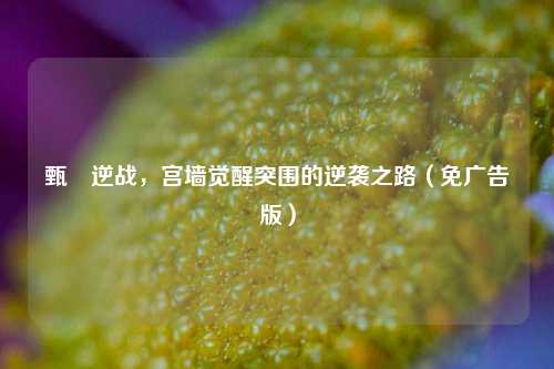 甄嬛逆战,宫墙觉醒突围的逆袭之路(免广告版)