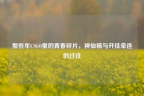 那些年CSGO里的青春碎片,神仙稿与开挂牵连的过往