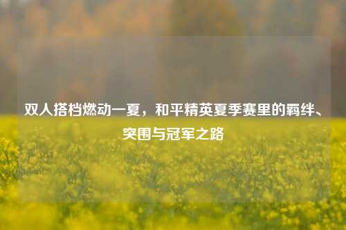 双人搭档燃动一夏，和平精英夏季赛里的羁绊、突围与冠军之路