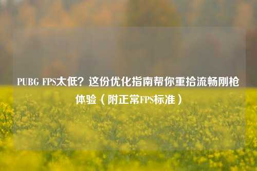 PUBG FPS太低?这份优化指南帮你重拾流畅刚枪体验(附正常FPS标准)