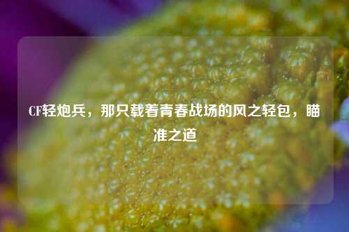 CF轻炮兵,那只载着青春战场的风之轻包,瞄准之道