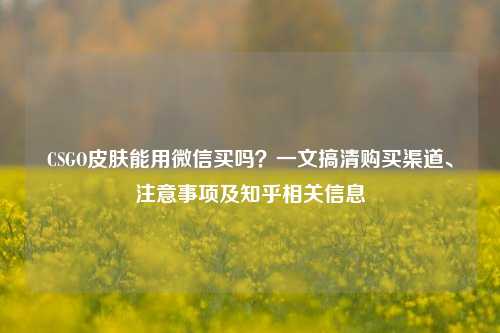 CSGO皮肤能用微信买吗?一文搞清购买渠道、注意事项及知乎相关信息