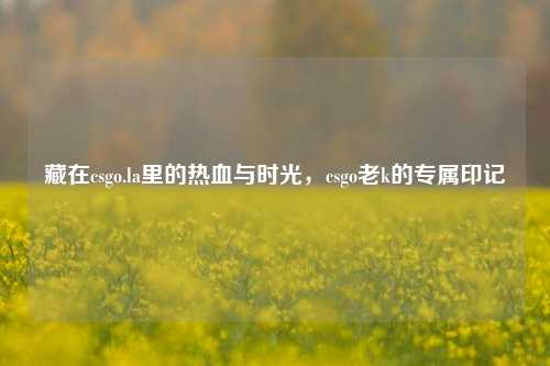 藏在csgo.la里的热血与时光,csgo老k的专属印记