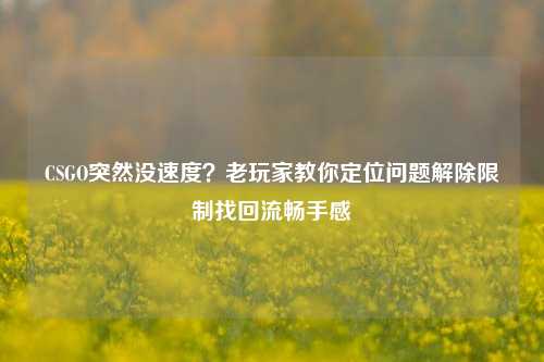 CSGO突然没速度?老玩家教你定位问题解除限制找回流畅手感