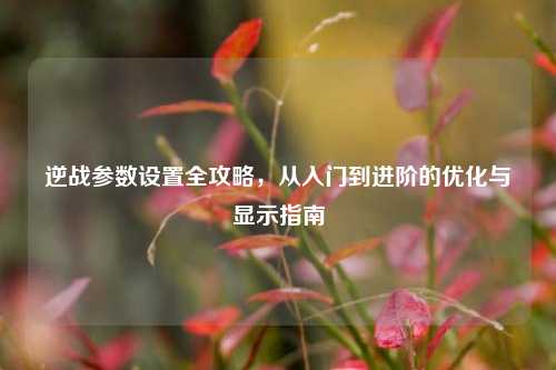 逆战参数设置全攻略,从入门到进阶的优化与显示指南