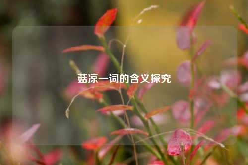 菇凉一词的含义探究
