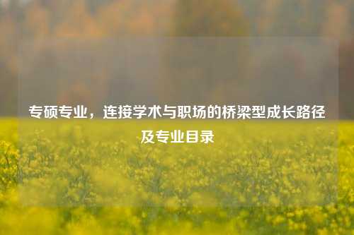 专硕专业,连接学术与职场的桥梁型成长路径及专业目录