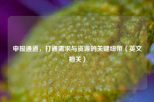申报通道,打通需求与资源的关键纽带(英文相关)