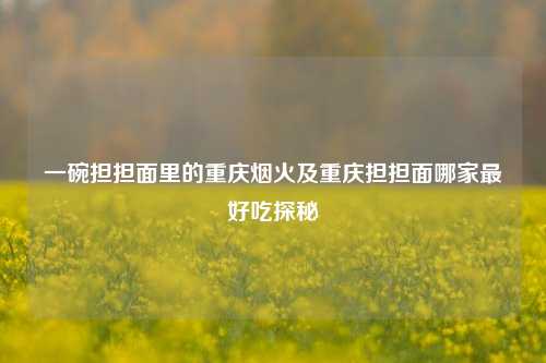 一碗担担面里的重庆烟火及重庆担担面哪家最好吃探秘
