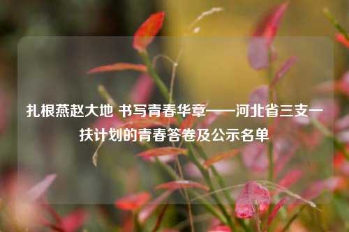 扎根燕赵大地 书写青春华章——河北省三支一扶计划的青春答卷及公示名单