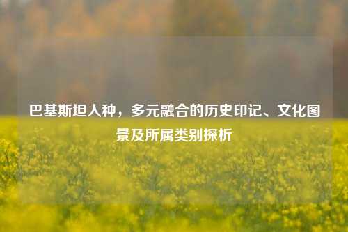 巴基斯坦人种,多元融合的历史印记、文化图景及所属类别探析