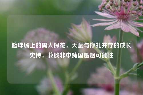 篮球场上的黑人探花,天赋与挣扎并存的成长史诗,兼谈非中跨国婚姻可能性