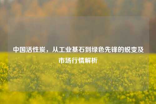 中国活性炭,从工业基石到绿色先锋的蜕变及市场行情解析