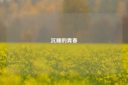 沉睡的青春