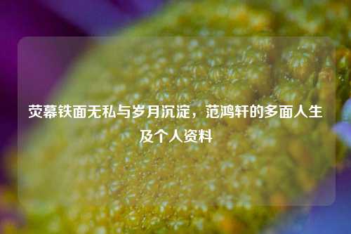 荧幕铁面无私与岁月沉淀,范鸿轩的多面人生及个人资料