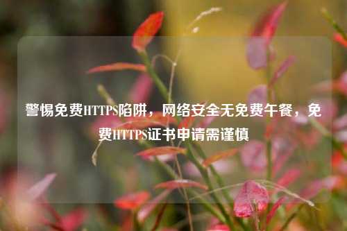 警惕免费HTTPS陷阱,网络安全无免费午餐,免费HTTPS证书申请需谨慎