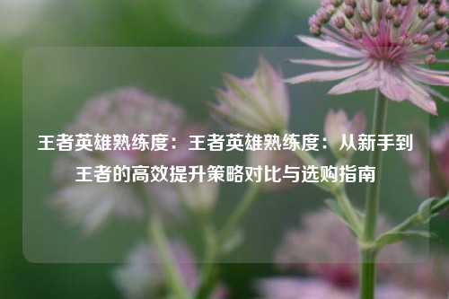 王者英雄熟练度:王者英雄熟练度:从新手到王者的高效提升策略对比与选购指南