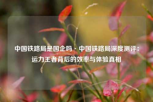 中国铁路局是国企吗·中国铁路局深度测评：运力王者背后的效率与体验真相