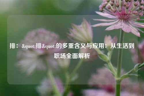 排："排"的多重含义与应用：从生活到职场全面解析