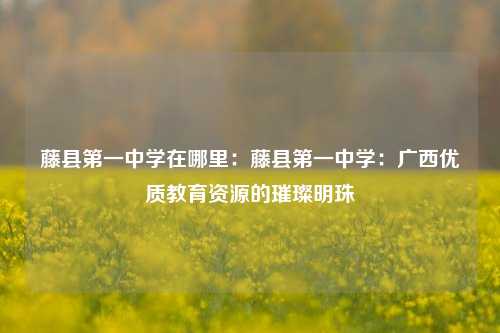 藤县第一中学在哪里：藤县第一中学：广西优质教育资源的璀璨明珠