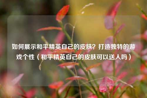 如何展示和平精英自己的皮肤?打造独特的游戏个性(和平精英自己的皮肤可以送人吗)
