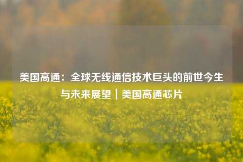 美国高通:全球无线通信技术巨头的前世今生与未来展望|美国高通芯片