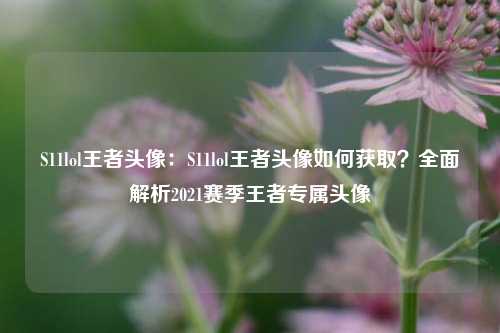 S11lol王者头像:S11lol王者头像如何获取?全面解析2021赛季王者专属头像