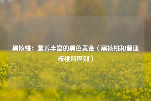 黑核桃：营养丰富的黑色黄金（黑核桃和普通核桃的区别）