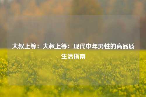 大叔上等：大叔上等：现代中年男性的高品质生活指南