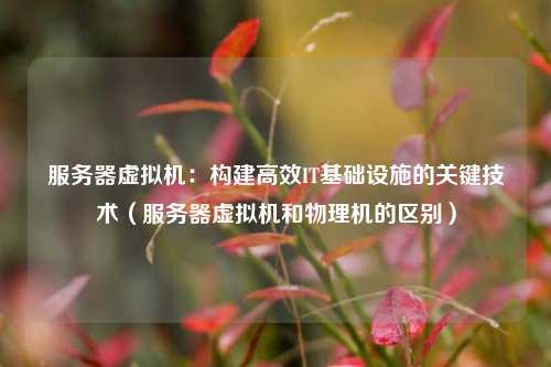 服务器虚拟机:构建高效IT基础设施的关键技术(服务器虚拟机和物理机的区别)