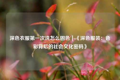 深色衣服第一次洗怎么固色|《深色服装:色彩背后的社会文化密码》