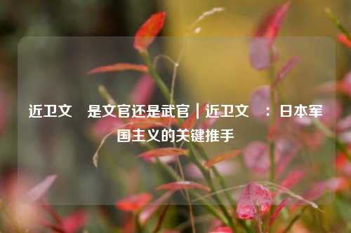 近卫文麿是文官还是武官|近卫文麿:日本军国主义的关键推手