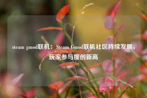 steam gmod联机:Steam Gmod联机社区持续发展,玩家参与度创新高