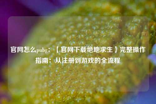 官网怎么pubg:【官网下载绝地求生】完整操作指南:从注册到游戏的全流程