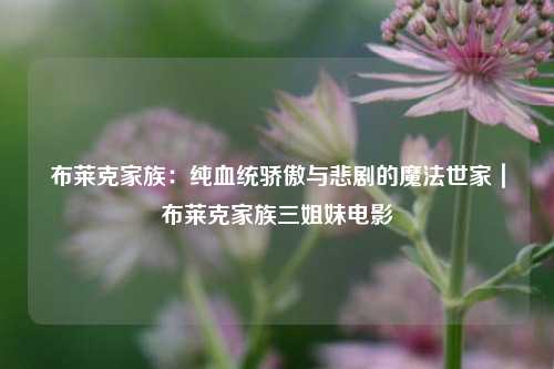 布莱克家族:纯血统骄傲与悲剧的魔法世家|布莱克家族三姐妹电影