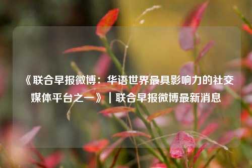 《联合早报微博:华语世界最具影响力的社交媒体平台之一》|联合早报微博最新消息