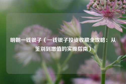明朝一钱银子（一钱银子投资收藏全攻略：从鉴别到增值的实操指南）