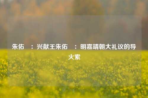 朱佑杬:兴献王朱佑杬:明嘉靖朝大礼议的导火索