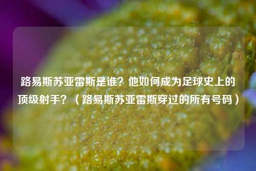 路易斯苏亚雷斯是谁?他如何成为足球史上的顶级射手?(路易斯苏亚雷斯穿过的所有号码)