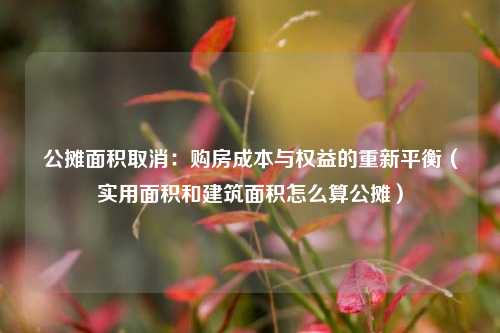 公摊面积取消:购房成本与权益的重新平衡(实用面积和建筑面积怎么算公摊)
