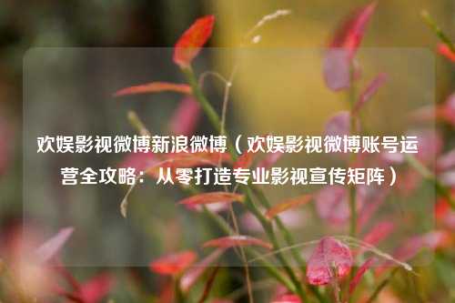 欢娱影视微博新浪微博(欢娱影视微博账号运营全攻略:从零打造专业影视宣传矩阵)