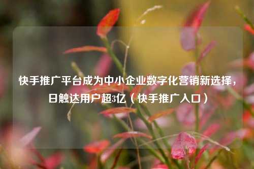 快手推广平台成为中小企业数字化营销新选择,日触达用户超3亿(快手推广入口)