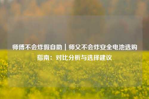 师傅不会炸假自助|师父不会炸安全电池选购指南:对比分析与选择建议